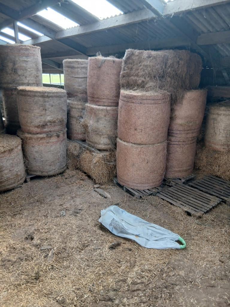 Weidehooi, Ophalen of Verzenden, Vee