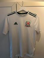 Wales shirt, Ophalen of Verzenden, Zo goed als nieuw, Buitenlandse clubs, Shirt