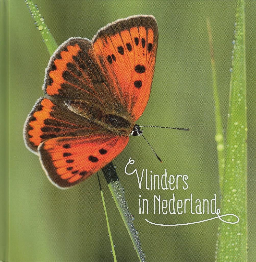 Nederland- 2015- Vlinders in Nederland- Boek + 4 Blokken, Verzenden, Na 1940, Postfris
