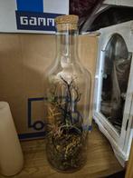 Uniek Terrarium in Fles - Decoratieve Planten, Ophalen of Verzenden