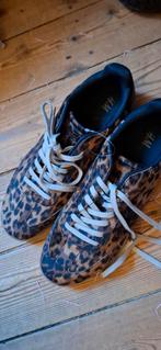 Lage nieuwe luipaard sneakers H&M maat 42, Ophalen of Verzenden, Nieuw, Schoenen