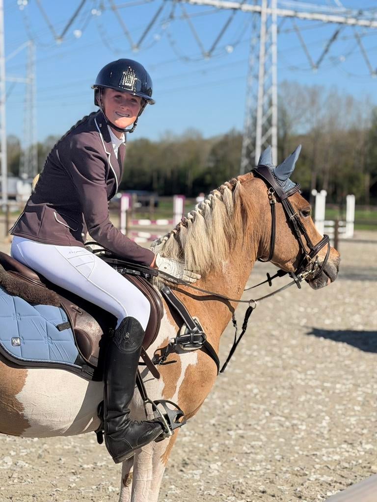 Betrouwbare beginnerspony’s , sportpony’s & Familiepony’s, Dieren en Toebehoren, Pony's, Ruin, B, B pony (1.17m tot 1.27m), Recreatiepony