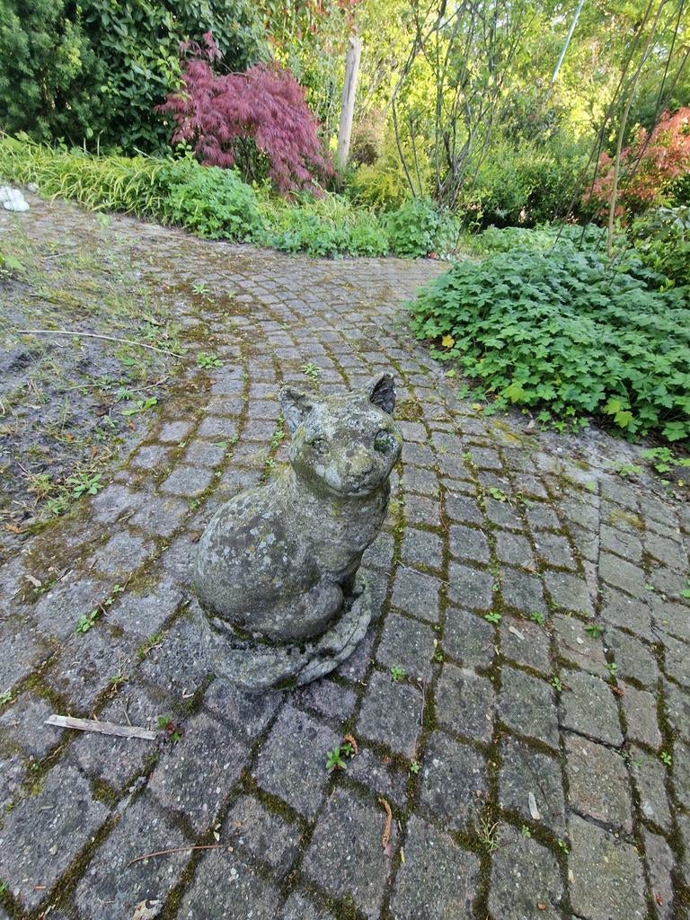 Stenen kattenbeeld voor tuin of terras, Ophalen, Gebruikt, Beton, Dierenbeeld