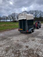 Wesco trailer 1,5 paards, Dieren en Toebehoren, Meerdere dieren, Schaap, 6 jaar of ouder