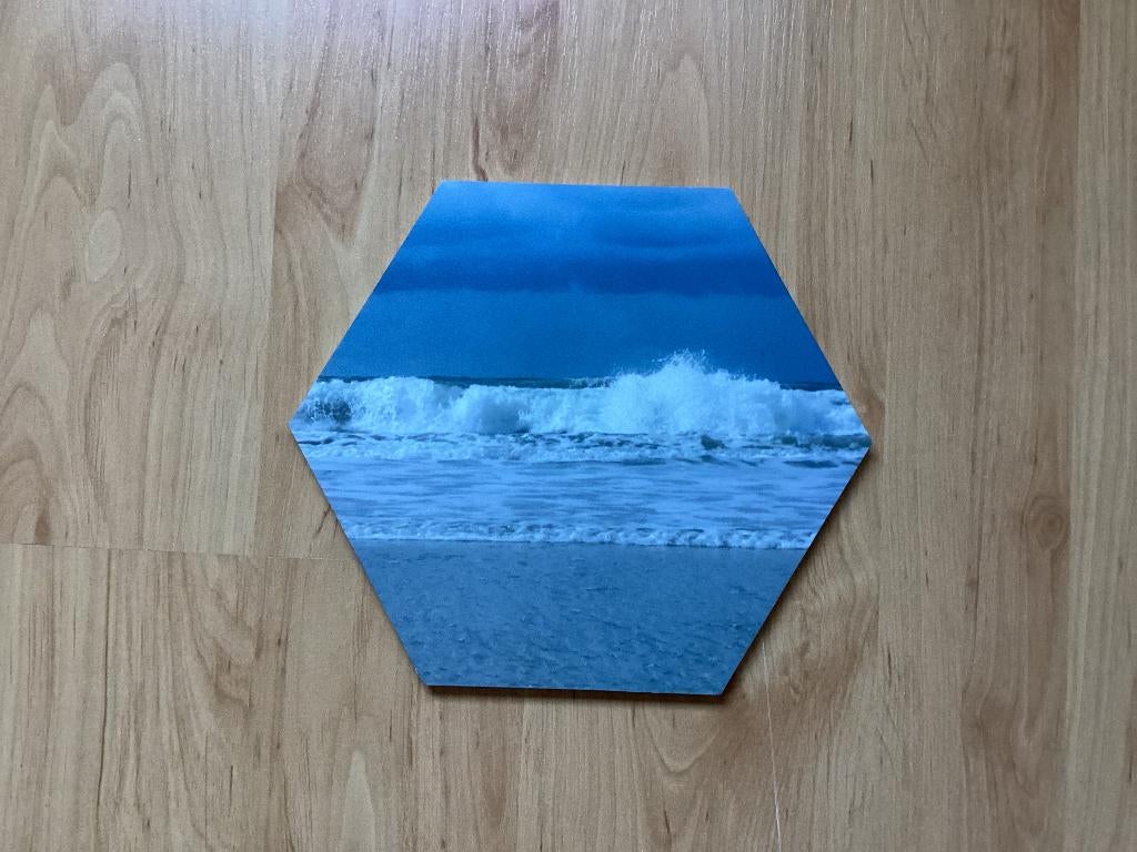 Foto plaat, Ophalen of Verzenden, Voor 1940