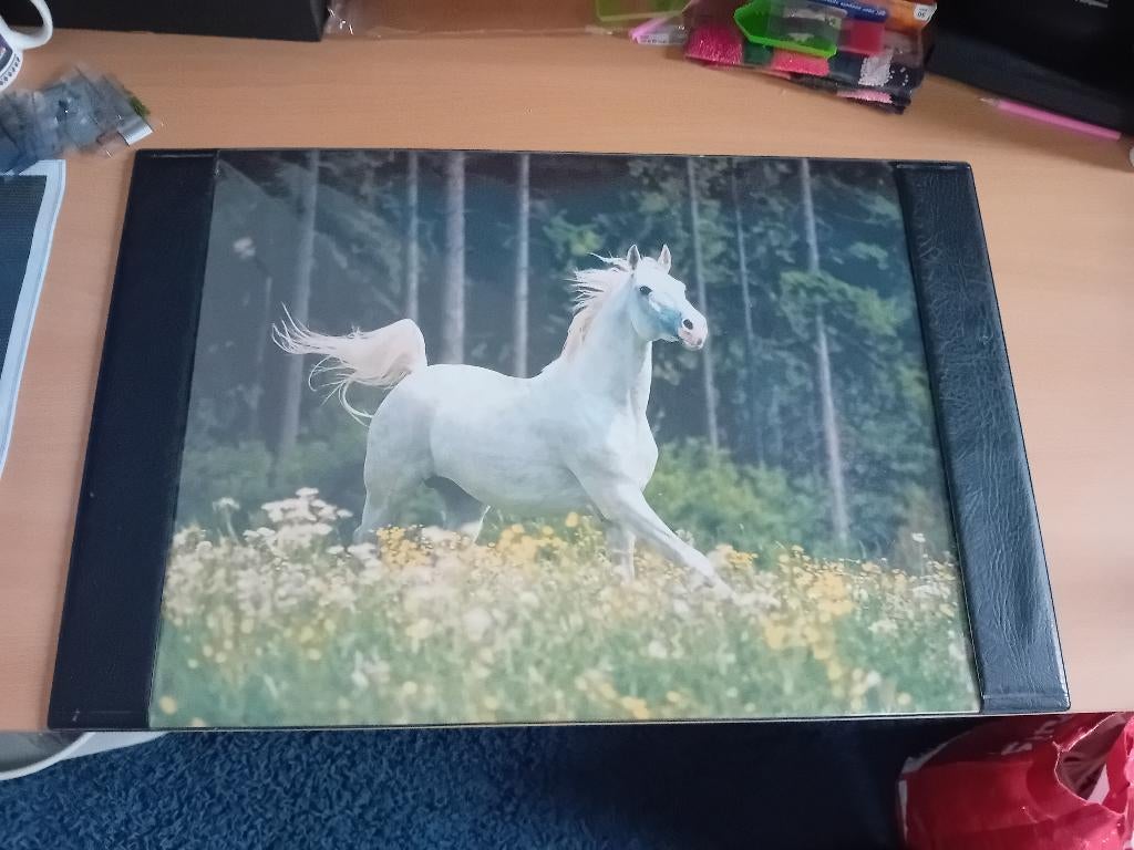 Bureau onderlegger paard, Ophalen, Gebruikt