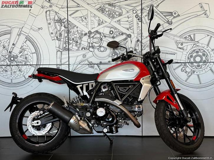 Ducati SCRAMBLER ICON (bj 2024), Motoren, Motoren | Ducati, Bedrijf, Toermotor, meer dan 35 kW