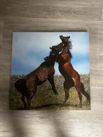 Canvas Twee Paarden - 50x50cm, Ophalen of Verzenden