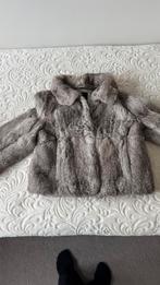 Milestone bontjas, Ophalen of Verzenden, Zo goed als nieuw, Maat 38/40 (M), Bruin