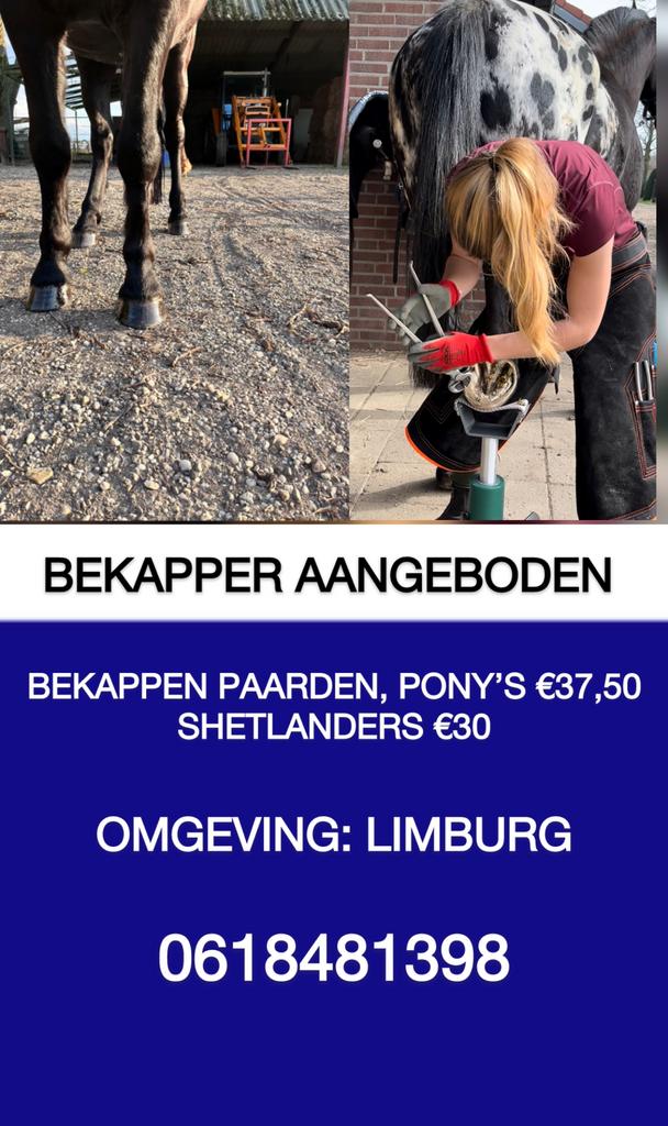 Bekapper aangeboden