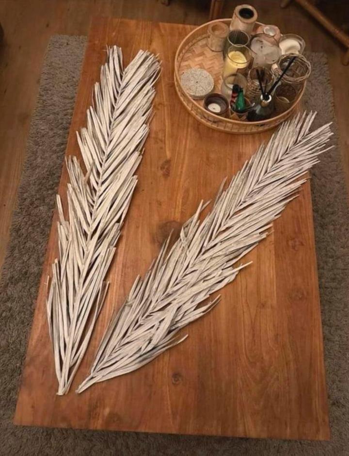 Twee grote palmbladeren in het wit - decoratief, Ophalen of Verzenden, Nieuw, Binnen