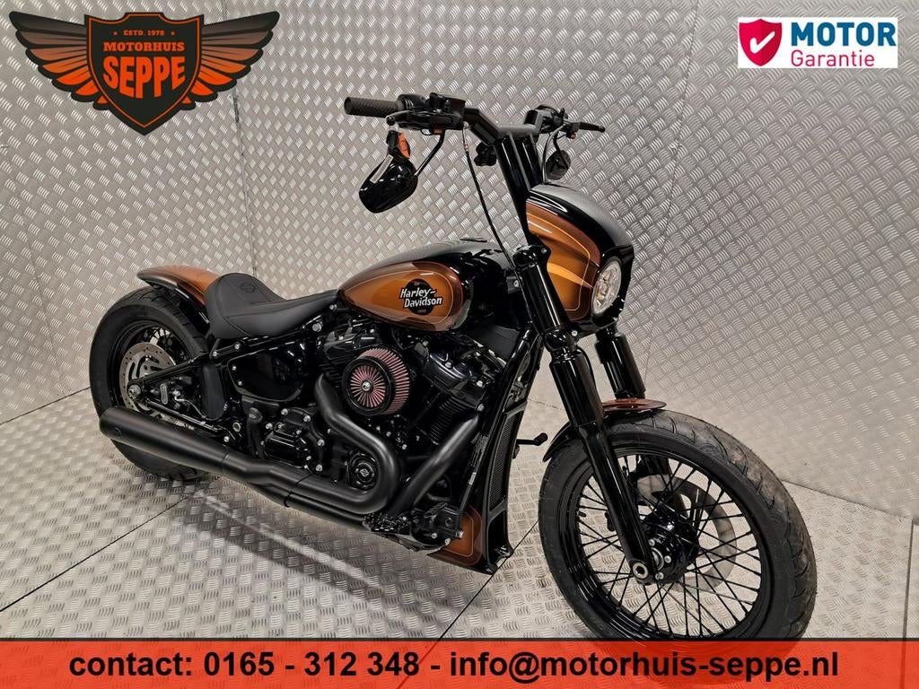 HARLEY-DAVIDSON SOFTAIL CUSTOM FXST (bj 2021) 5,999 mls, 1746 cc, 2 cilinders, HARLEY-DAVIDSON, Bedrijf
