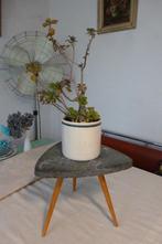 PLANTENTAFELTJE,FIFTIES,SIXTIES,ROCKABILLY,VINTAGE,, Huis en Inrichting, Ophalen of Verzenden, Gebruikt