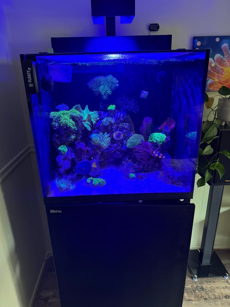 Red Sea max 170e (leeg aquarium), Ophalen, Red Sea, Gebruikt, Leeg aquarium