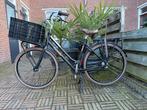 ZGAN Gazelle Miss Grace, Fietsen en Brommers, Fietsen | Dames | Damesfietsen, Ophalen, 53 tot 56 cm, Versnellingen, Zo goed als nieuw