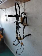 Paarden hoofdstel, Dieren en Toebehoren, Paarden en Pony's | Hoofdstellen en Tuigage, Ophalen