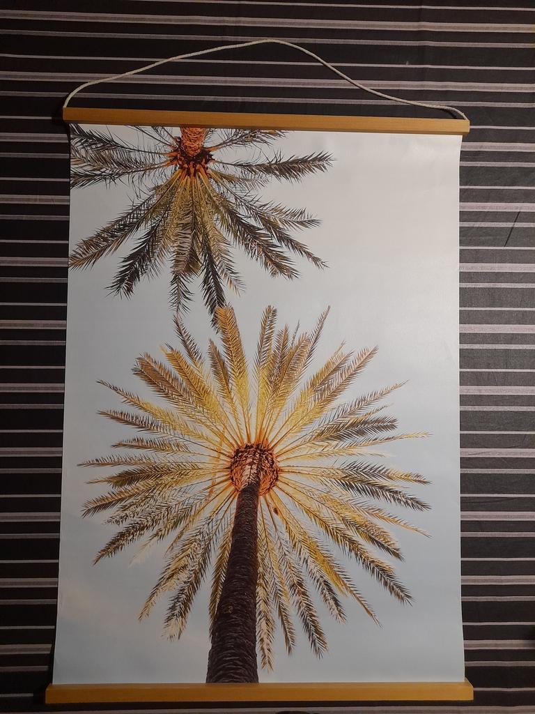 Plaat/hanger met een afbeelding van palmbomen., Huis en Inrichting, Woonaccessoires | Wanddecoraties, Ophalen of Verzenden, Met ophangsysteem