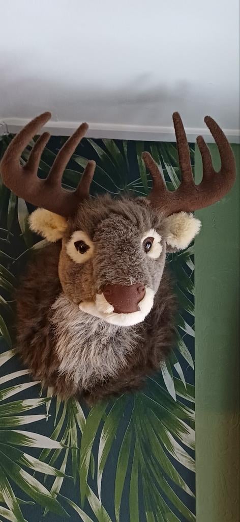 Pluche hertenkop voor aan de muur, Ophalen