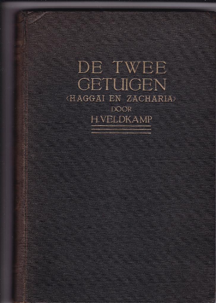 Veldkamp, Ds. H. – De twee getuigen (Haggaï en Zacharia), Boeken, Gelezen, Christendom | Protestants, Ophalen of Verzenden, Veldkamp, Ds. H.