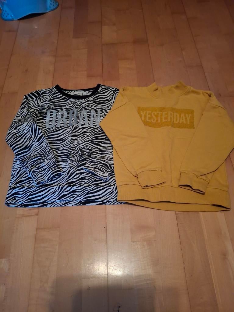 2 Name It sweaters,  maat 116. Meisje., Kinderen en Baby's, Kinderkleding | Maat 116, Ophalen of Verzenden, Zo goed als nieuw