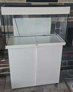 Juwel rio 125l aquarium + kast + buitenfilter & co2, Ophalen, Zo goed als nieuw, Filter of Co2