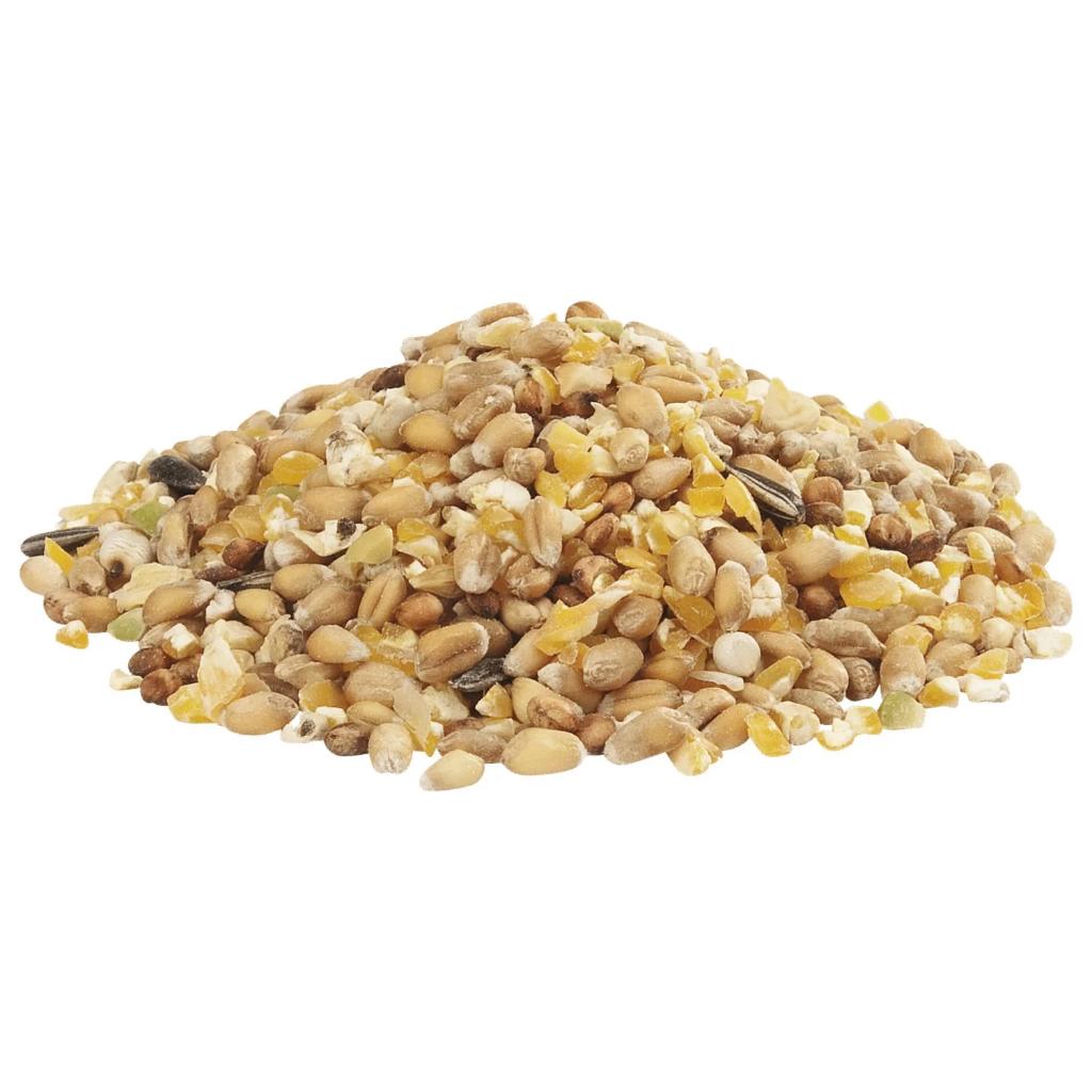 Kippenvoer - Legkorrel - Gemengd Graan, Dieren en Toebehoren, Dierenvoeding, Ophalen of Verzenden, Pluimvee
