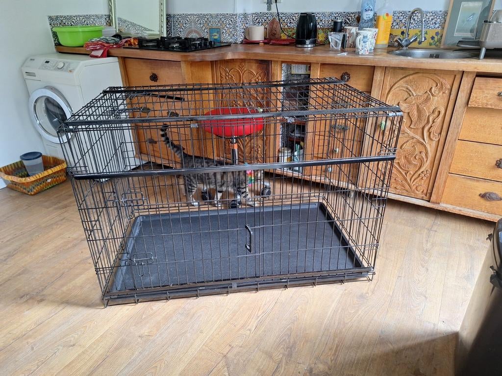 Hondenbench . 1 keer gebruikt voor klein kat. 120cm x 75cm x, Ophalen, Zo goed als nieuw