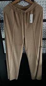 Glitter goudkleurige broek, Kleding | Dames, Grote Maten, Ophalen of Verzenden, Nieuw, Overige kleuren, Broek of Spijkerbroek