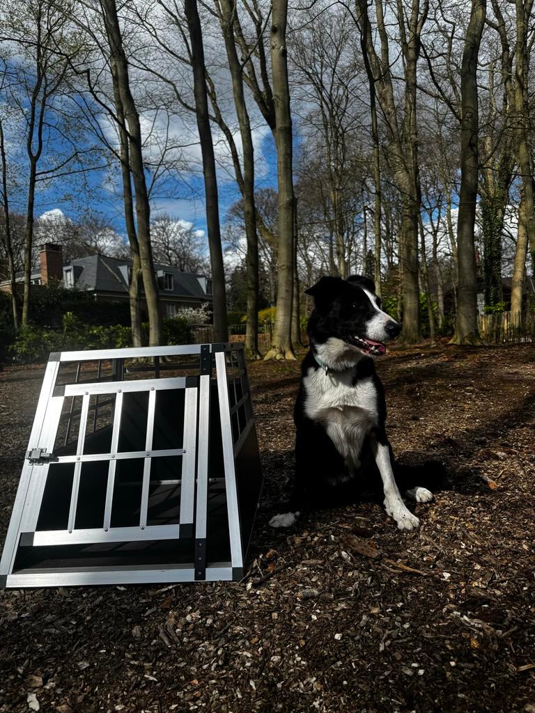 Veilige autobench hond - bmw3 station, Dieren en Toebehoren, Ophalen, Zo goed als nieuw