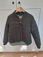 Danefae  gewatteerd jasje groen mt L, Kleding | Dames, Ophalen of Verzenden, Zo goed als nieuw, Maat 38/40 (M), Groen