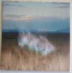 Hollie Kenniff - The Gathering Dawn ambient drone new age, Ophalen of Verzenden, Zo goed als nieuw, 12 inch