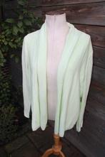 Vest lime Betty Barclay mt L/XL Vaste prijs OPRUIMING, Kleding | Dames, Truien en Vesten, Maat 42/44 (L), Betty Barclay, Ophalen of Verzenden