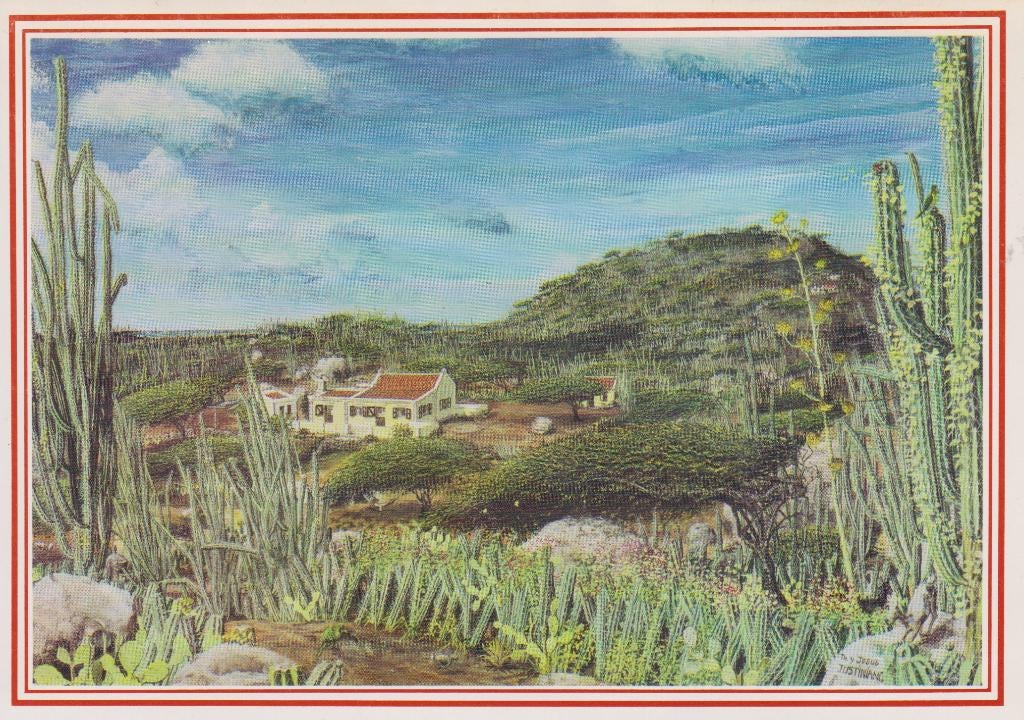 Aruba Landschap Cactussen Landhuis Plantage, Verzamelen, Verzenden, 1980 tot heden, Ongelopen, Natuur