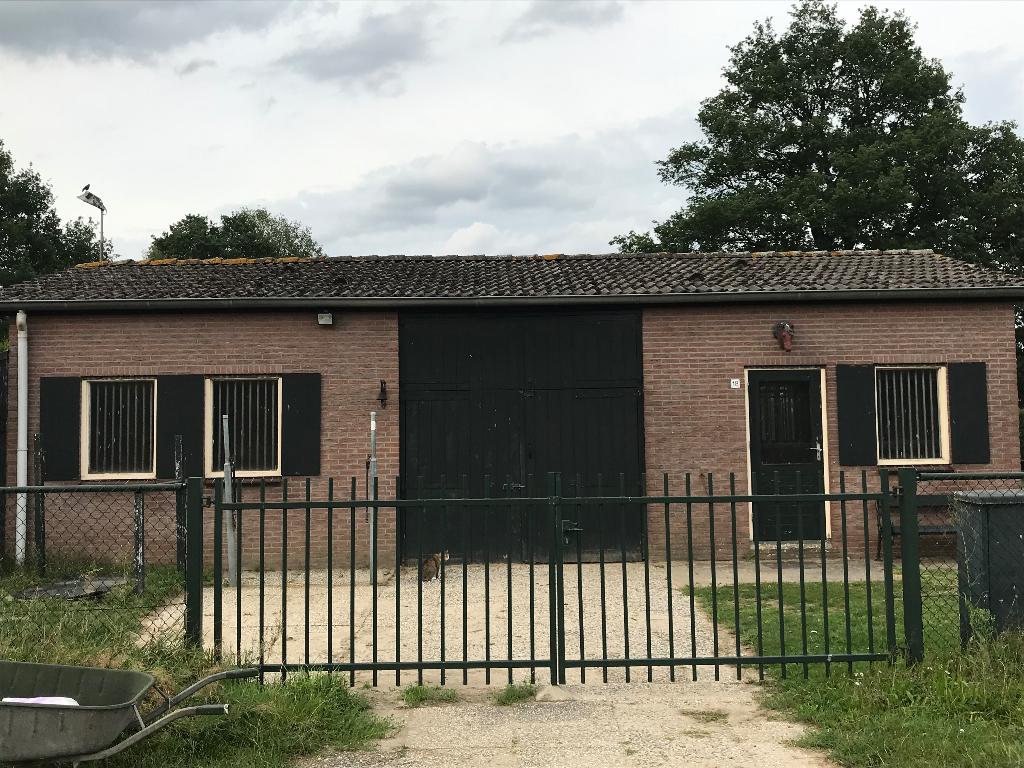 Paardenstal te huur, Weidegang, 2 of 3 paarden of pony's