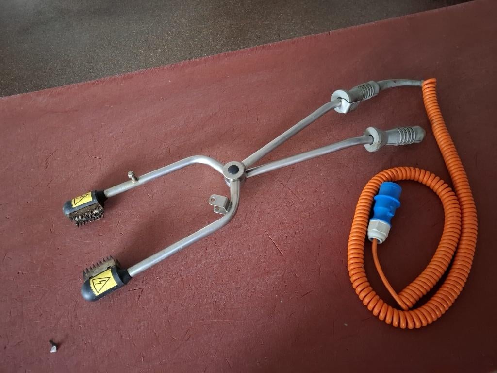 Varkensstroomtang, Ophalen