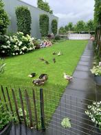 Blauwe tegels 80x80 cm, Tuin en Terras, Overige materialen, Gebruikt, Ophalen of Verzenden, 10 m² of meer