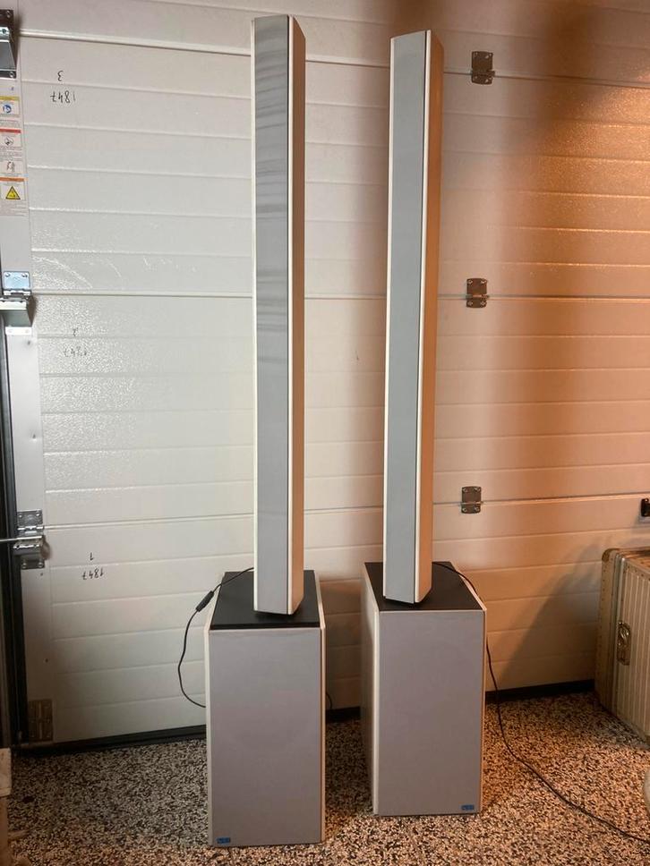 Van Medevoort  audio EE125 + EBO 5 . elektrostaat, Audio, Tv en Foto, Luidsprekers, Gebruikt, Front, Rear of Stereo speakers, Minder dan 60 watt