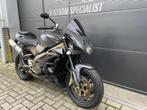 Aprilia RSV 1000 Tuono, Gianelli uitlaten, unieke kleur!, Bedrijf, Meer dan 35 kW, Toermotor, 998 cc