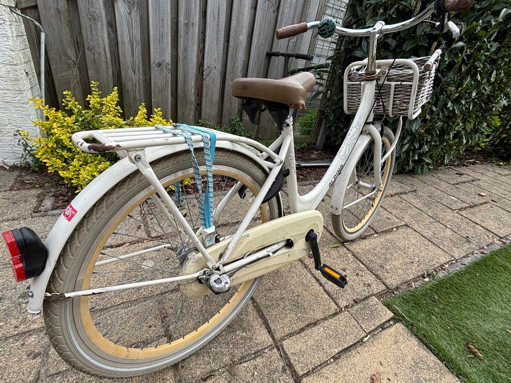Kinderfiets Alpina club 24”, Overige merken, Terugtraprem, Versnellingen, Ophalen of Verzenden
