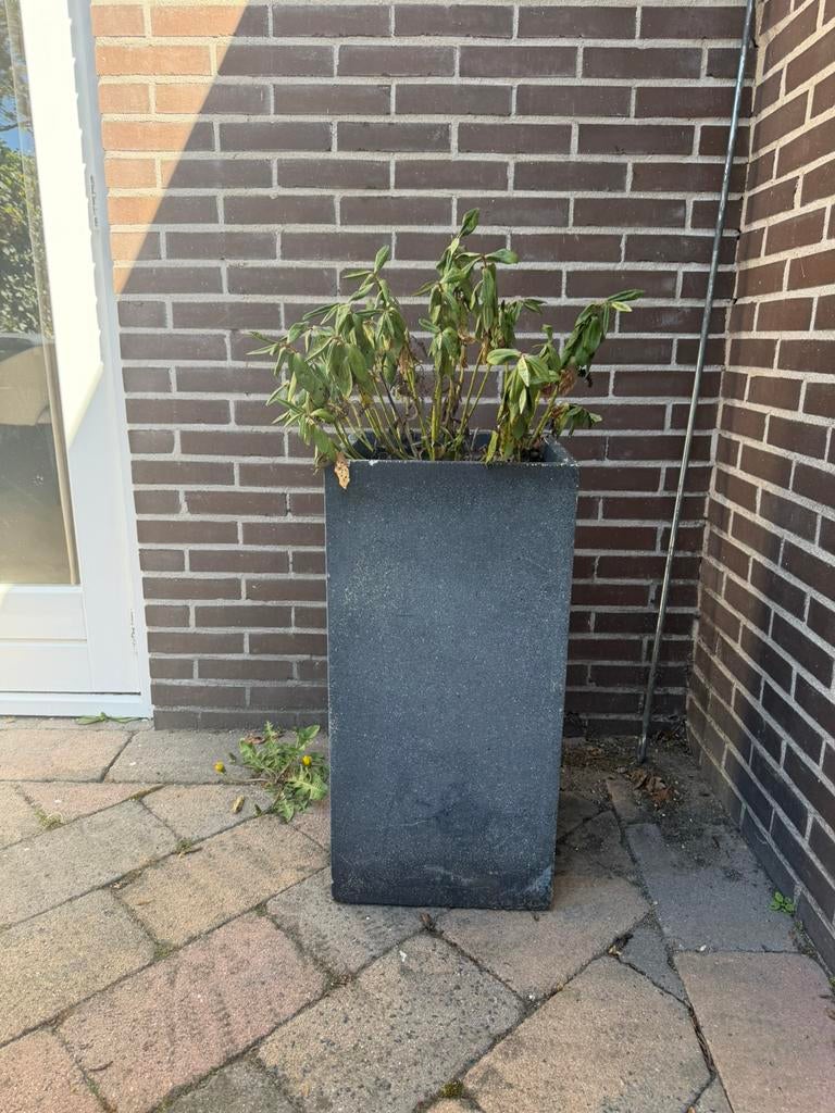 Hoge plantenbak gratis, Ophalen, Steen, Gebruikt, Vierkant