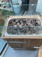 Gashaard met gasfles, Ophalen of Verzenden, Gebruikt