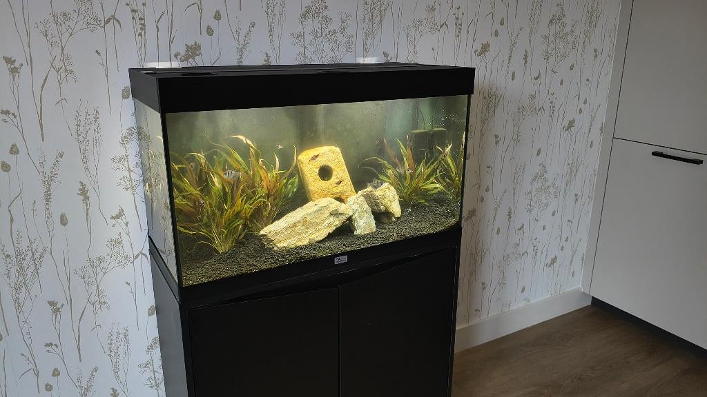Aquarium Aqualantis Volga 125, Dieren en Toebehoren, Vissen | Aquaria en Toebehoren, Ophalen, Zo goed als nieuw, Gevuld zoetwateraquarium