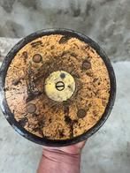 Antieke discus op standaard, Ophalen of Verzenden