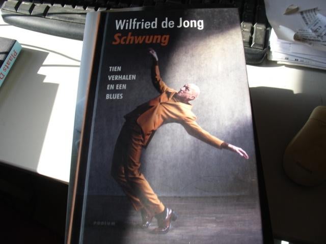 wilfried de jong - schwung, Ophalen of Verzenden, Zo goed als nieuw, Nederland