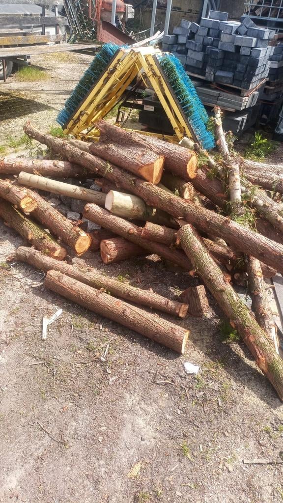 Vers naaldhout stamhout, Tuin en Terras, Haardhout, Minder dan 3 m³, Ophalen of Verzenden, Overige houtsoorten, Stammen