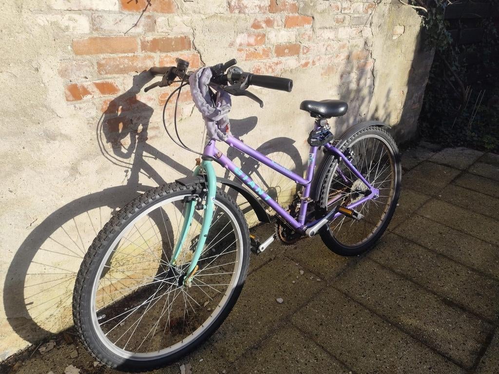 Giant Mountainbike - Paars/Lila, Fietsen en Brommers, Fietsen | Dames | Damesfietsen, Gebruikt, Velgrem, Versnellingen, 50 tot 53 cm