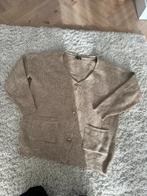 Juul&Belle Oversized Gebreid Vest Beige Maat M, Ophalen of Verzenden, Gedragen, Maat 38/40 (M), Beige