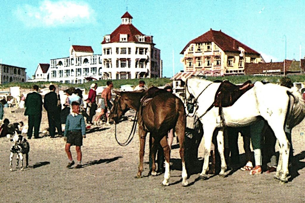 914492	Noordwijk 	aan Zee	ZH 1974 strand	paarden	 Gelopen, Ophalen of Verzenden, Voor 1920, Gelopen, Noord-Brabant