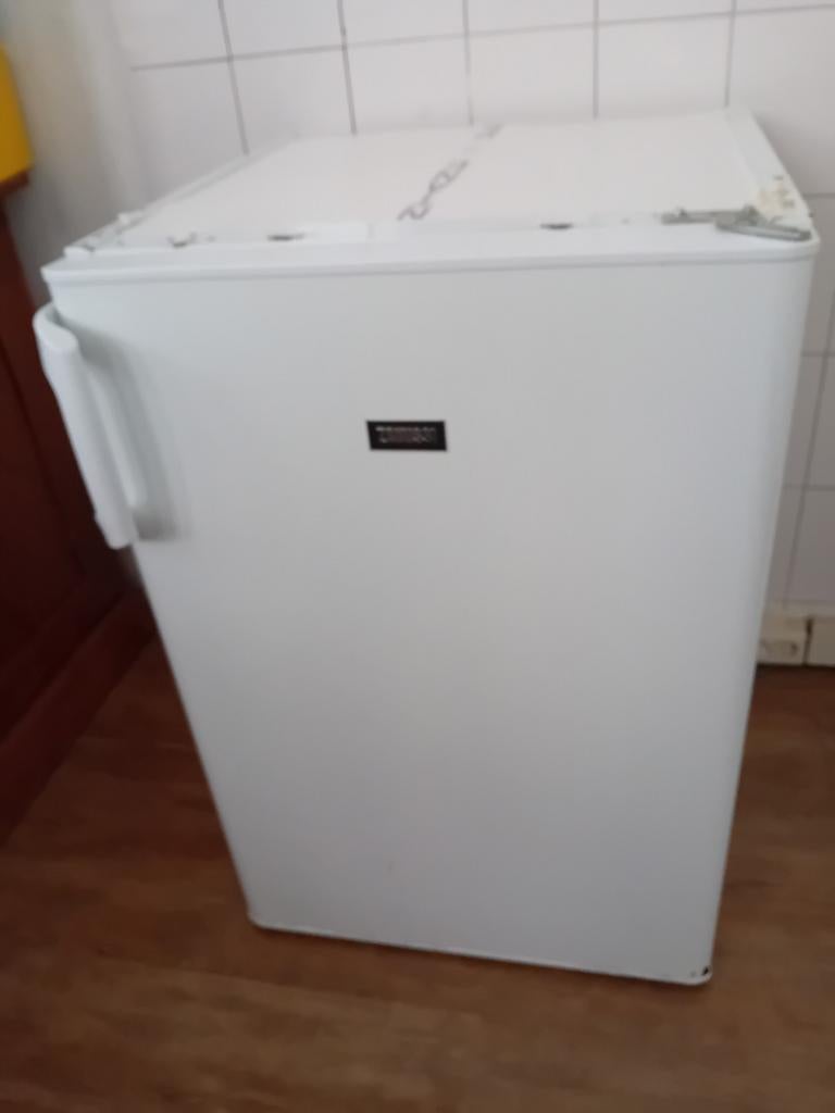 Zanussi tafelmodel koelkast, Gebruikt, Minder dan 60 cm, Vrijstaand, Ophalen