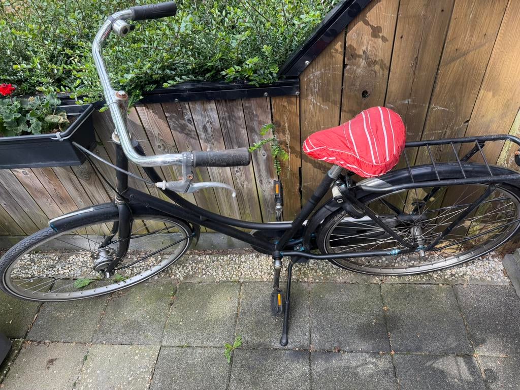 Twe fietsen ein prijs giant en omafiets, Ophalen, Terugtraprem, Versnellingen, Giant